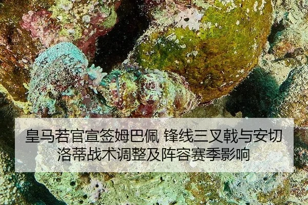huang-ma-ruo-guan-xuan-qian-mu-ba-pei-feng-xian-san-cha-ji-yu-an-qie-luo-di-zhan-shu-tiao-zheng-ji-zhen-rong-sai-ji-2-643.jpg