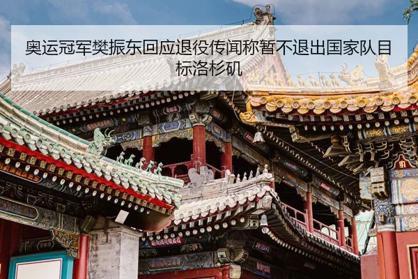 奥运冠军樊振东回应退役传闻称暂不退出国家队目标洛杉矶