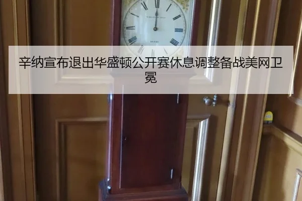 xin-na-xuan-bu-tui-chu-hua-sheng-dun-gong-kai-sai-xiu-xi-tiao-zheng-bei-zhan-mei-wang-wei-mian-2-279.jpg