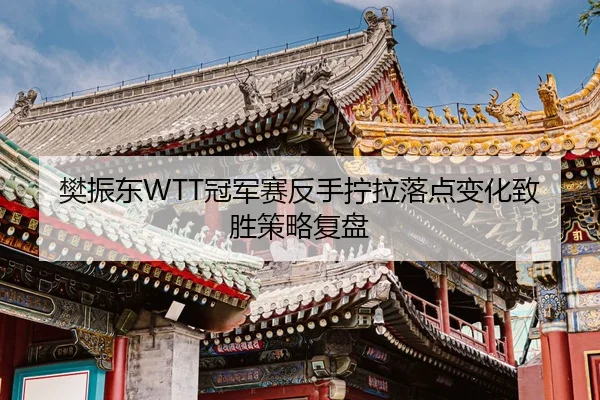 樊振东WTT冠军赛反手拧拉落点变化致胜策略复盘