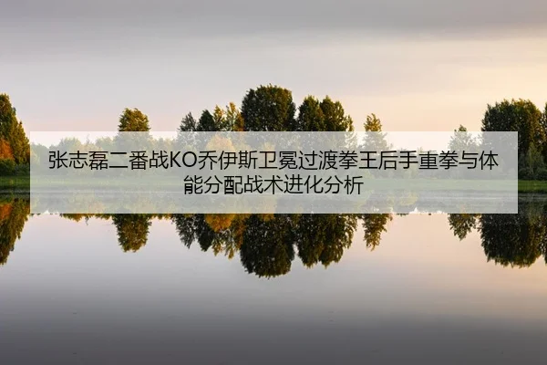 zhang-zhi-lei-er-fan-zhan-qiao-yi-si-wei-mian-guo-du-quan-wang-hou-shou-zhong-quan-yu-ti-neng-fen-pei-zhan-shu-jin-hua-2-870.jpg