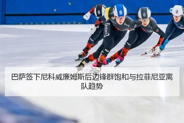 ba-sa-qian-xia-ni-ke-wei-lian-mu-si-hou-bian-feng-qun-bao-he-yu-la-fei-ni-ya-li-dui-qu-shi-3-434.jpg